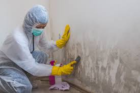 Why You Should Choose Our Mold Remediation Services in Amboy, WA